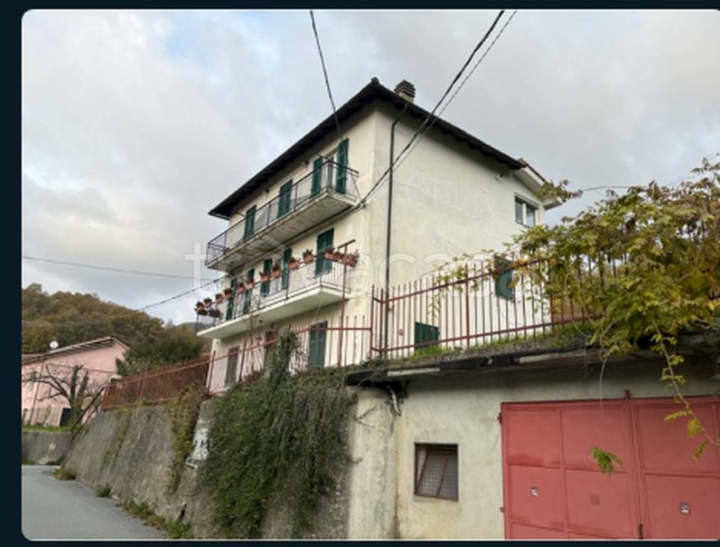 immagine annuncio 2 di 12