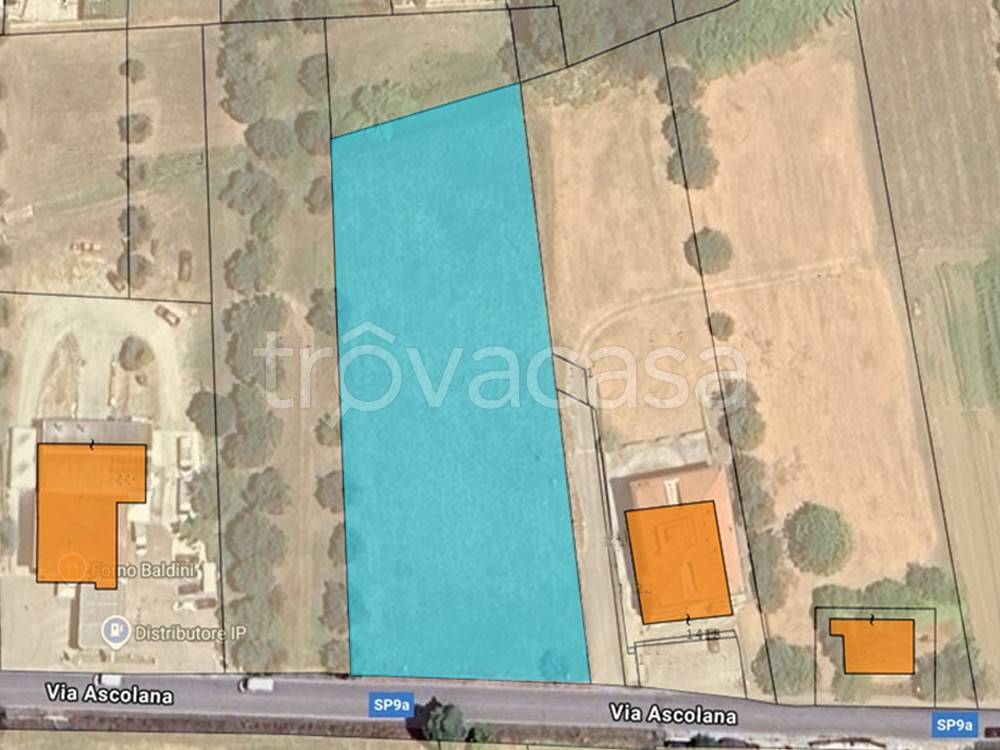 immagine annuncio 6 di 8