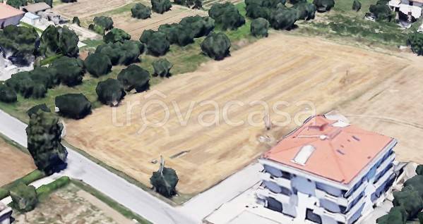 immagine annuncio 7 di 8