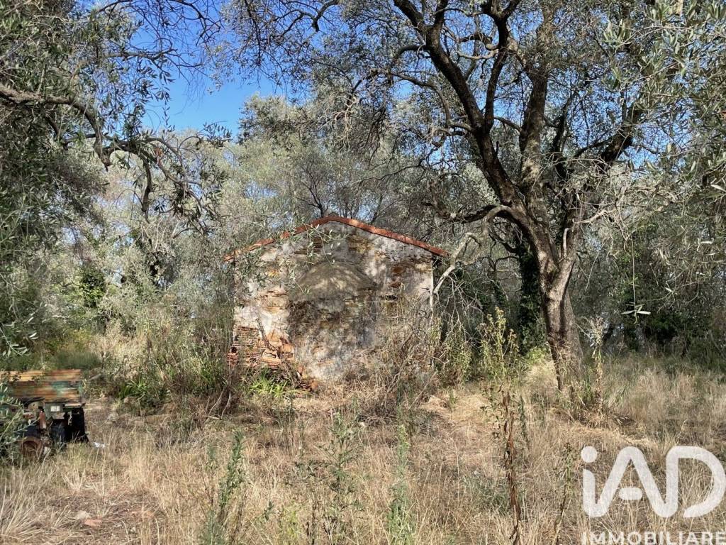 immagine annuncio 5 di 12