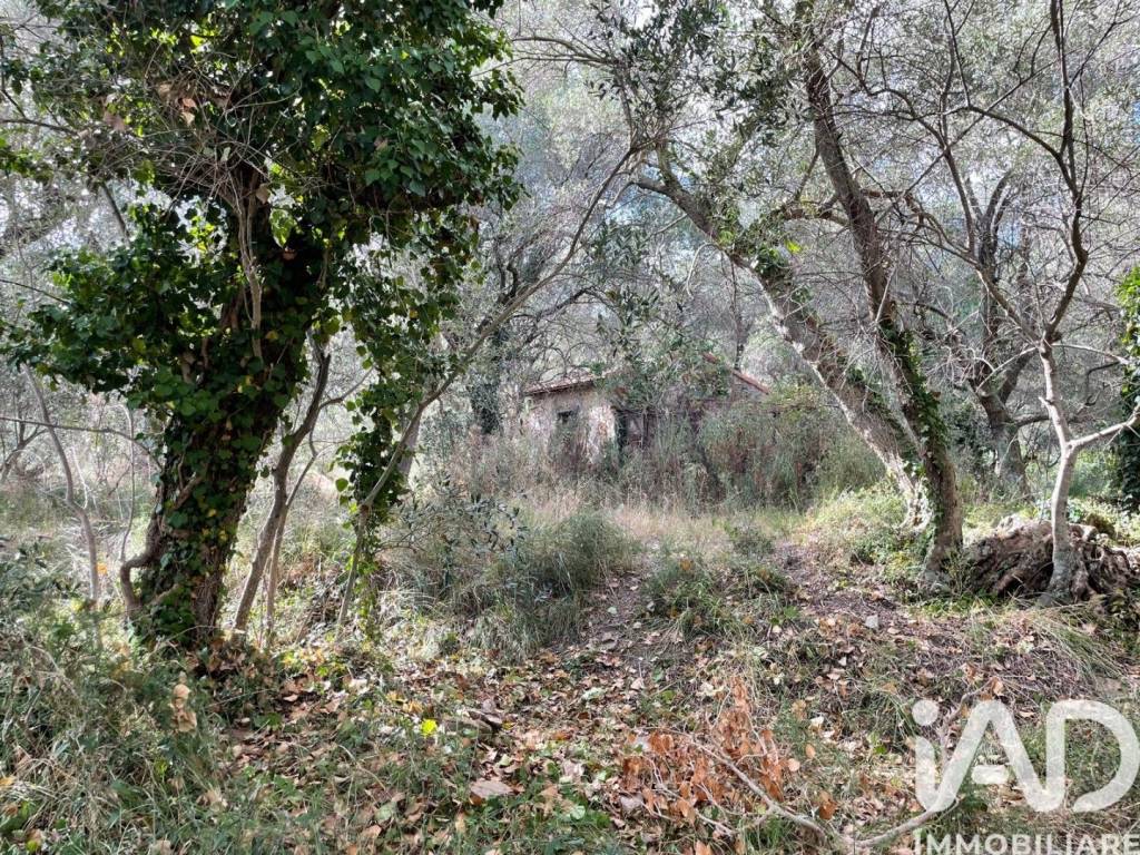 immagine annuncio 9 di 12