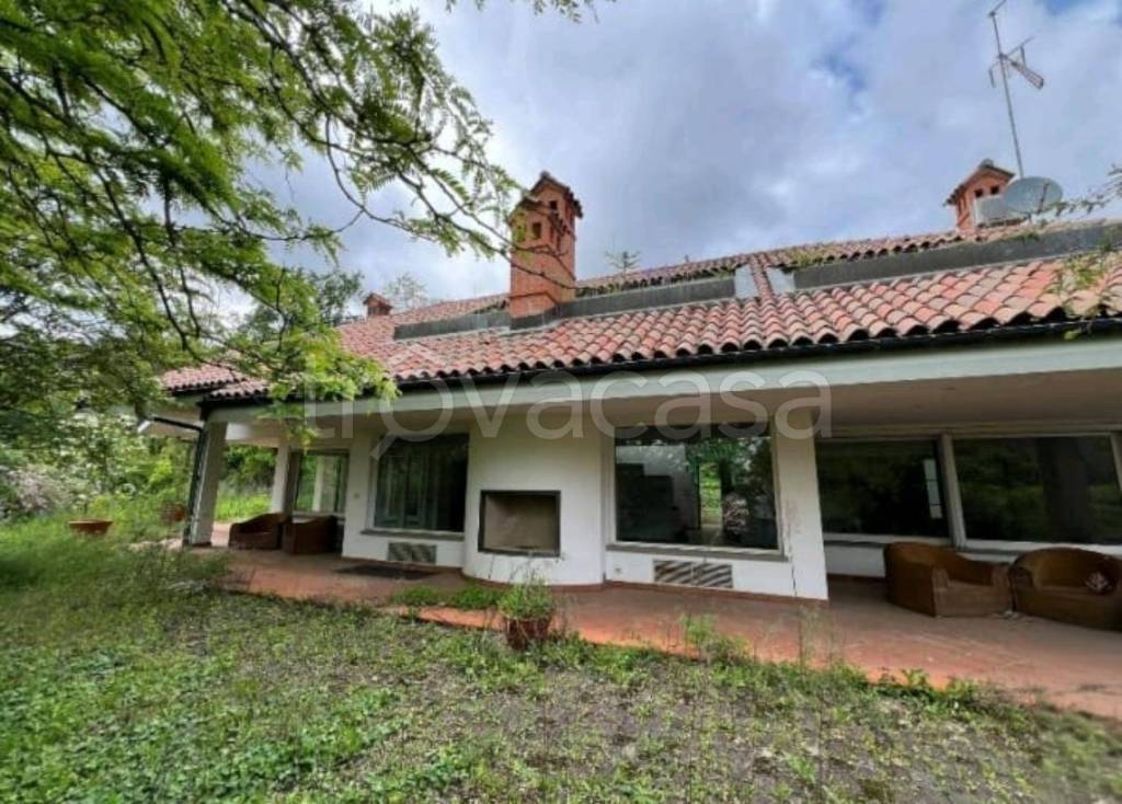 immagine annuncio 12 di 13