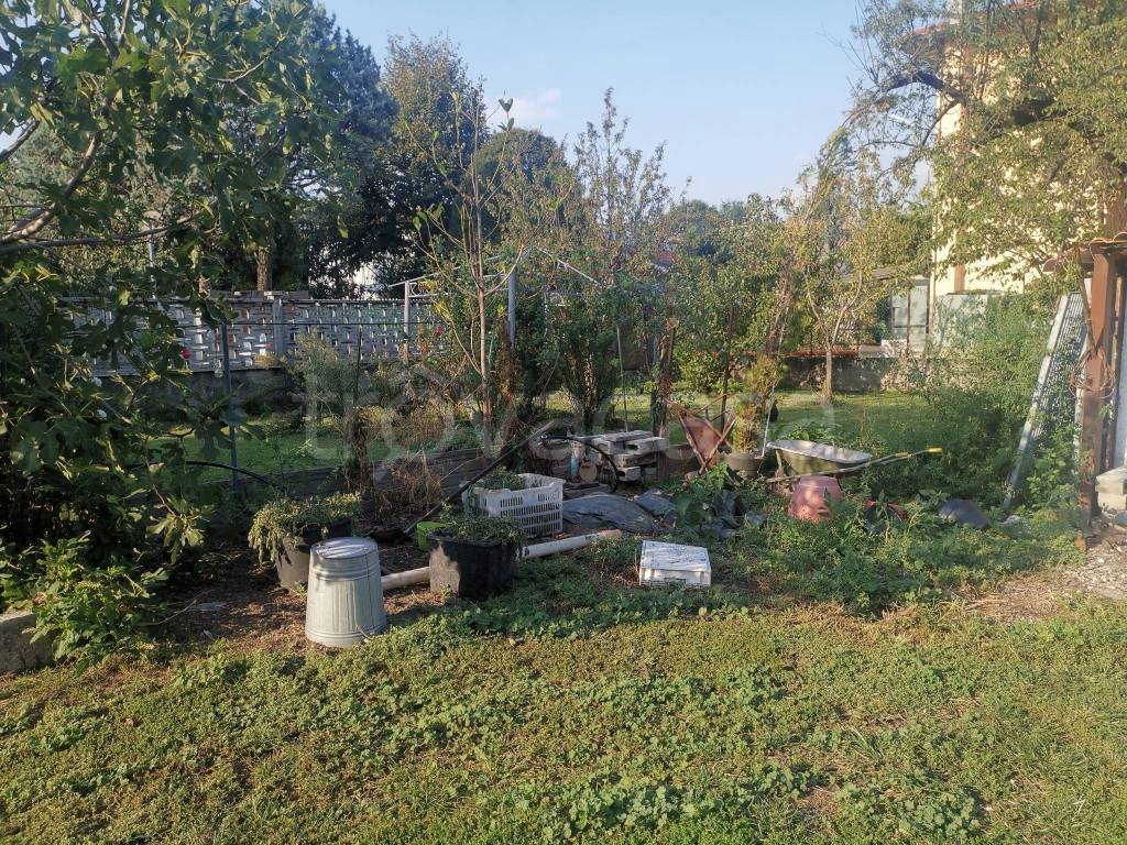 immagine annuncio 6 di 15