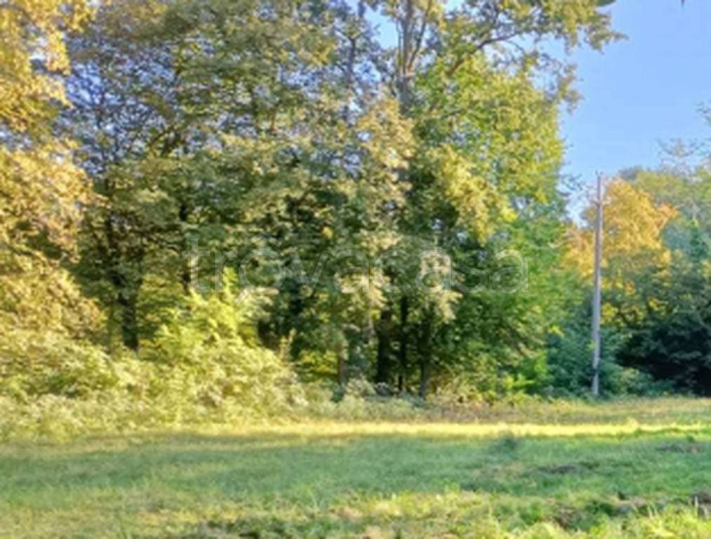 immagine annuncio 11 di 12