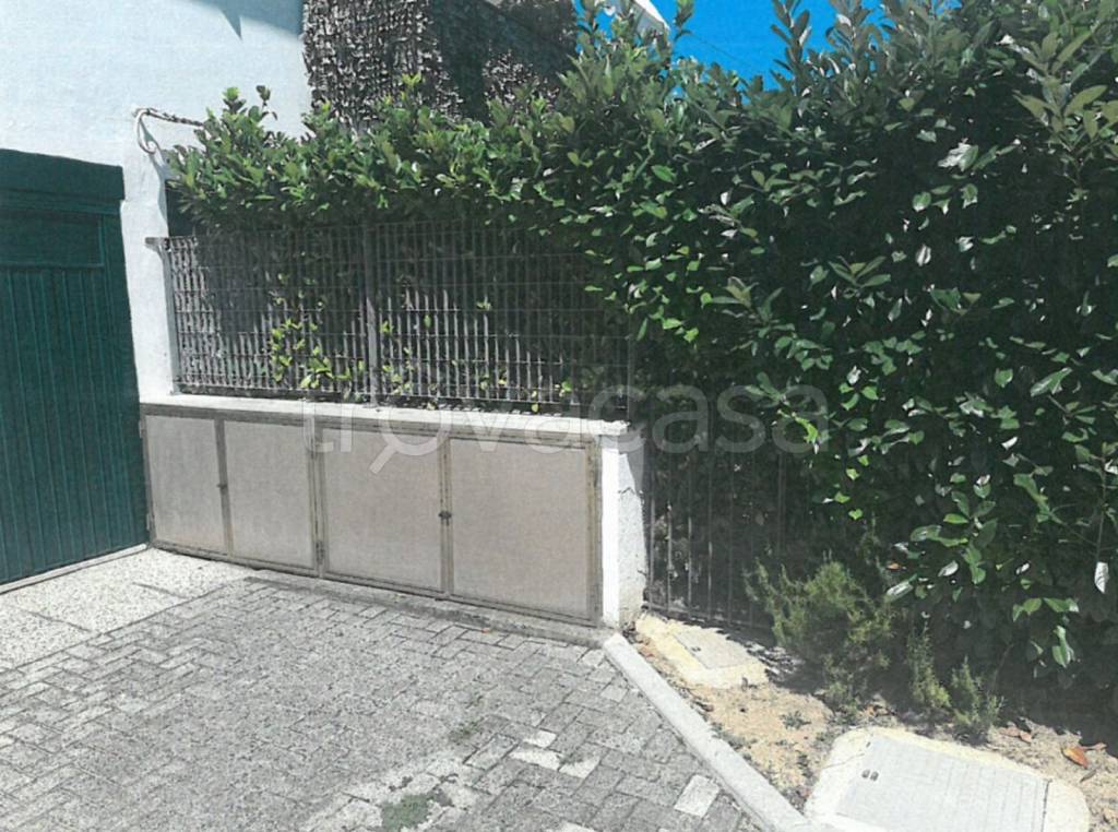 immagine annuncio 12 di 14