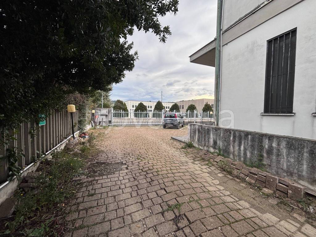 immagine annuncio 9 di 15