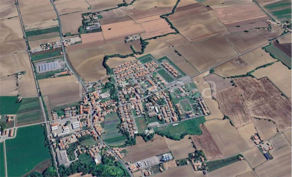 immagine annuncio 5 di 8