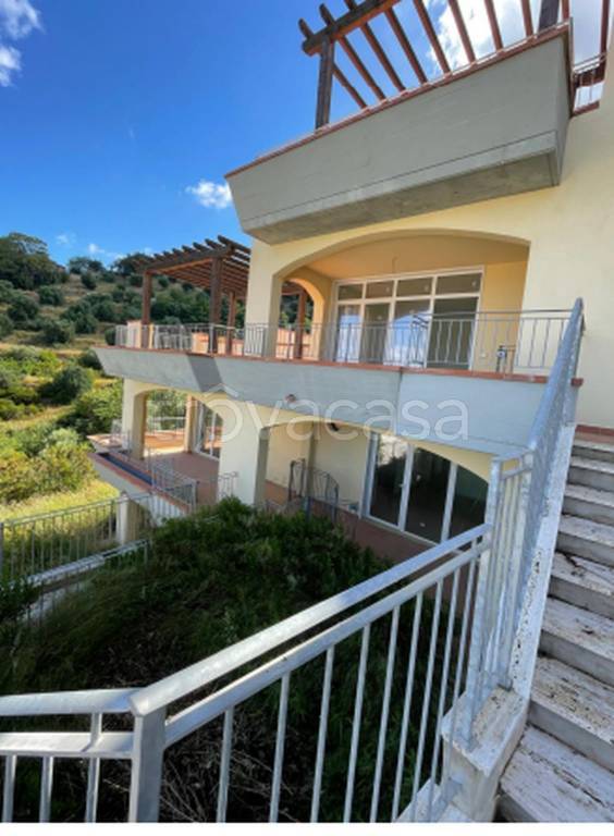 immagine annuncio 9 di 13