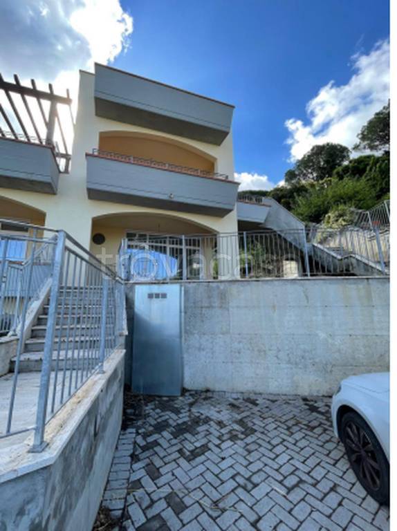 immagine annuncio 11 di 13