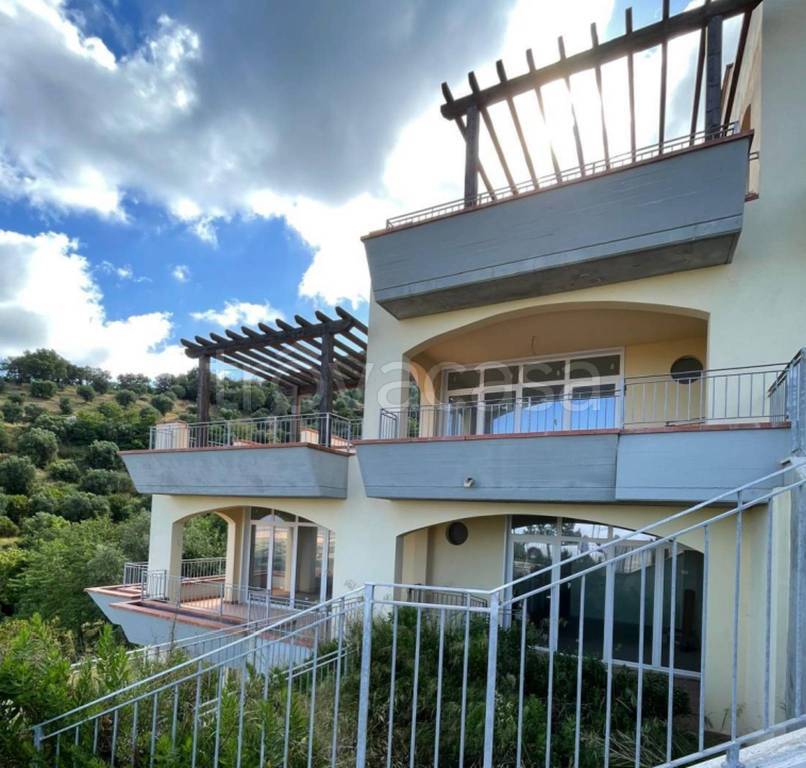 immagine annuncio 12 di 13