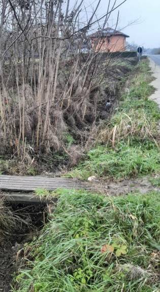 immagine annuncio 3 di 9