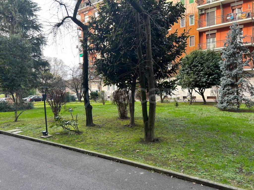 immagine annuncio 12 di 15