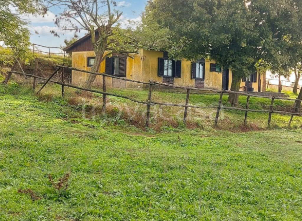 immagine annuncio 2 di 12