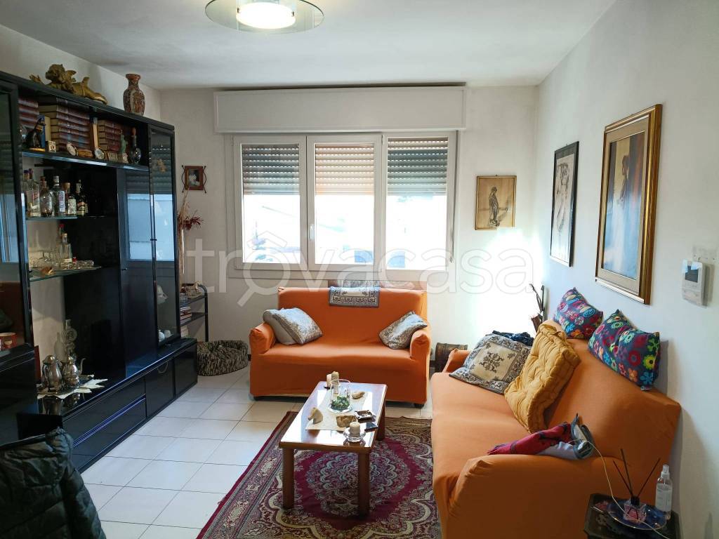 immagine annuncio 1 di 12