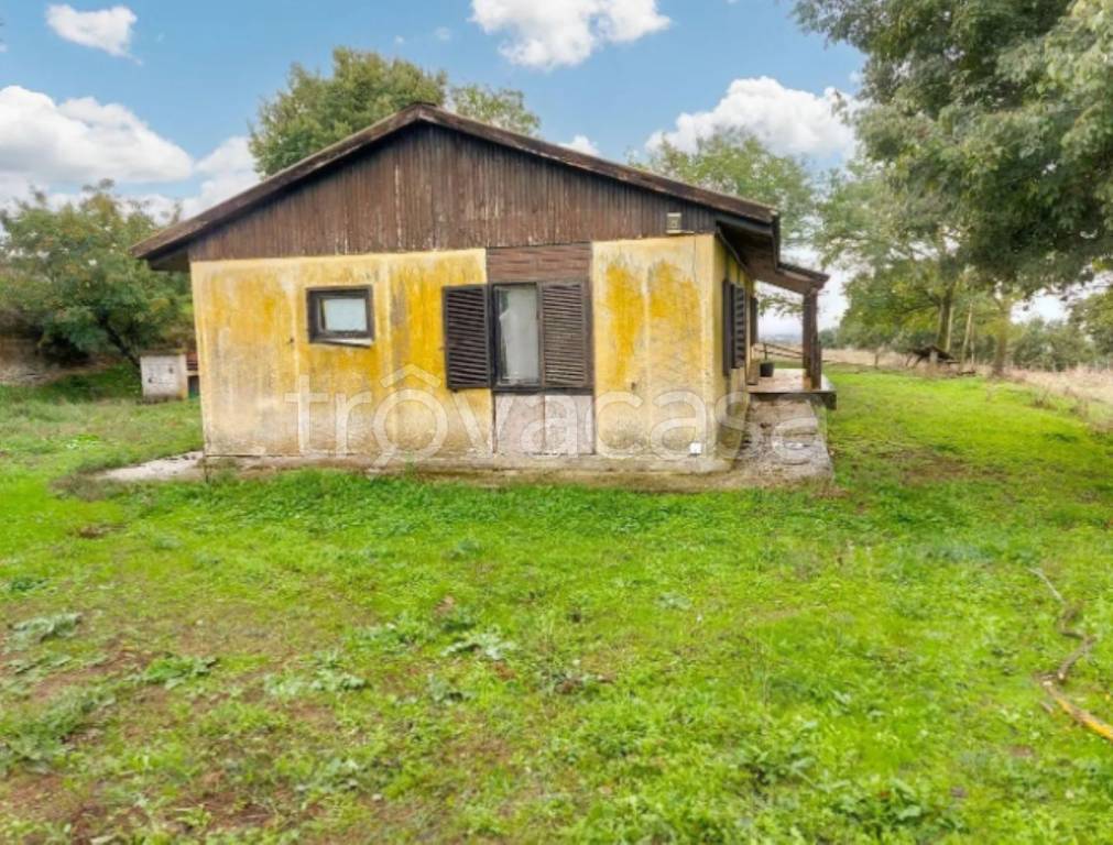 immagine annuncio 7 di 12