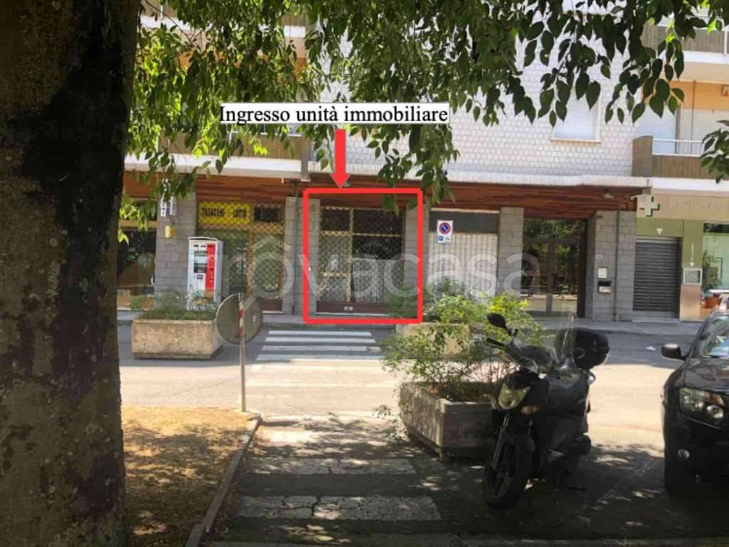 immagine annuncio 2 di 12