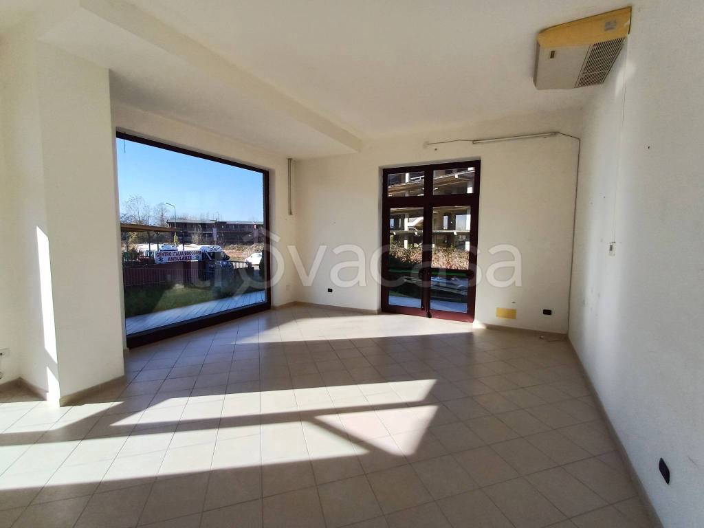 immagine annuncio 2 di 12