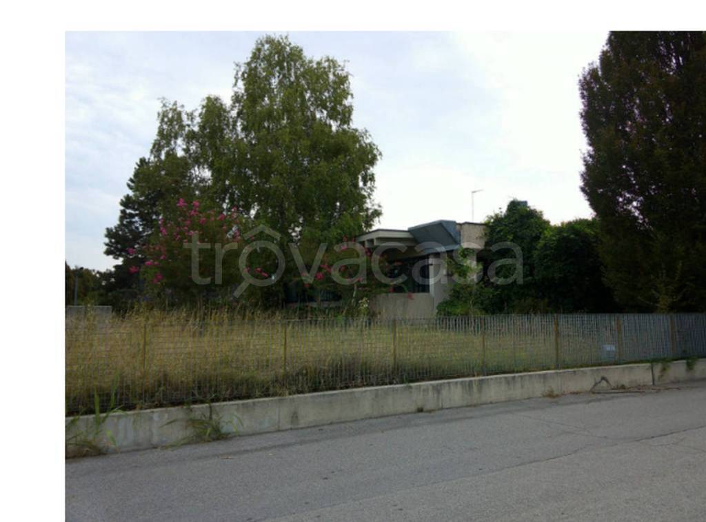 immagine annuncio 4 di 12