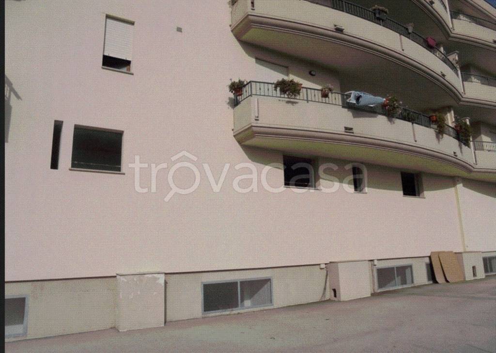 immagine annuncio 8 di 14