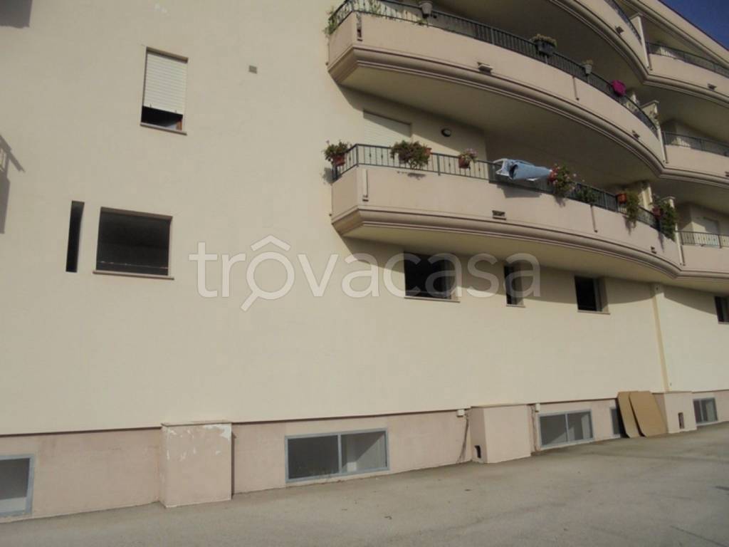 immagine annuncio 9 di 14