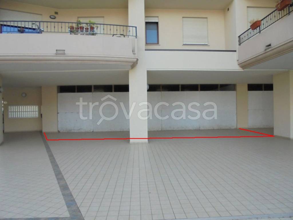 immagine annuncio 11 di 14