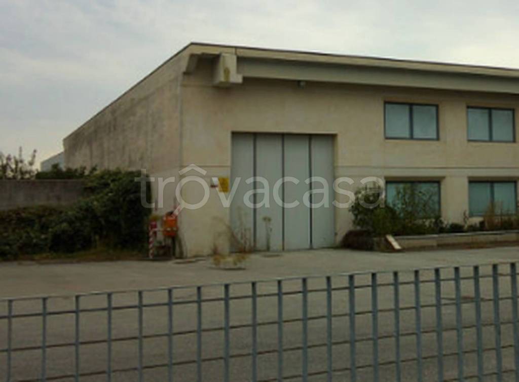 immagine annuncio 7 di 12