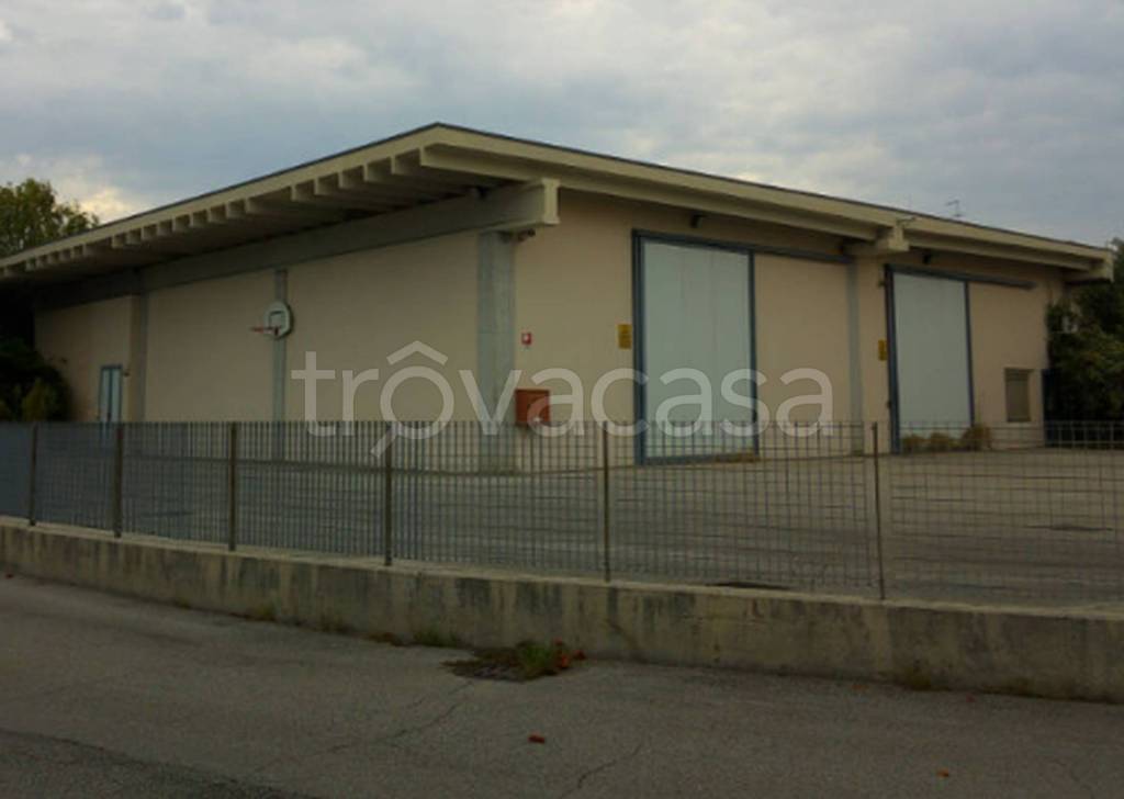 immagine annuncio 9 di 12