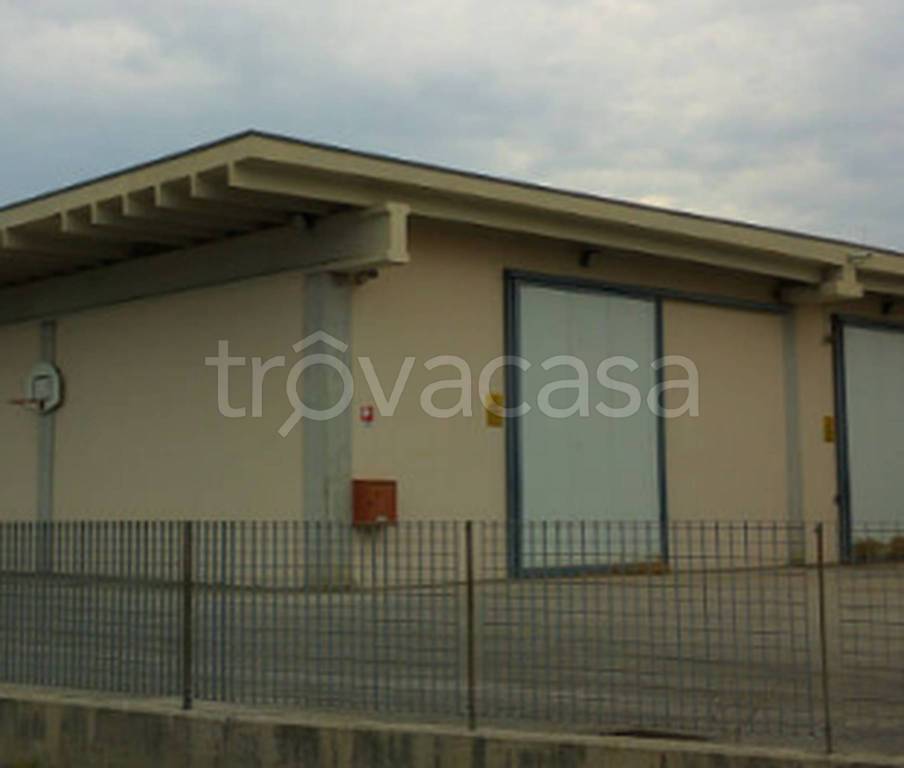 immagine annuncio 11 di 12