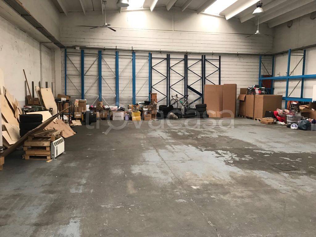 immagine annuncio 6 di 15