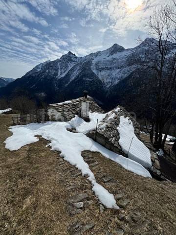 immagine annuncio 3 di 14