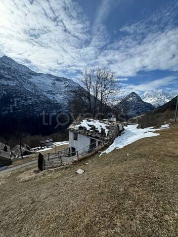 immagine annuncio 4 di 14