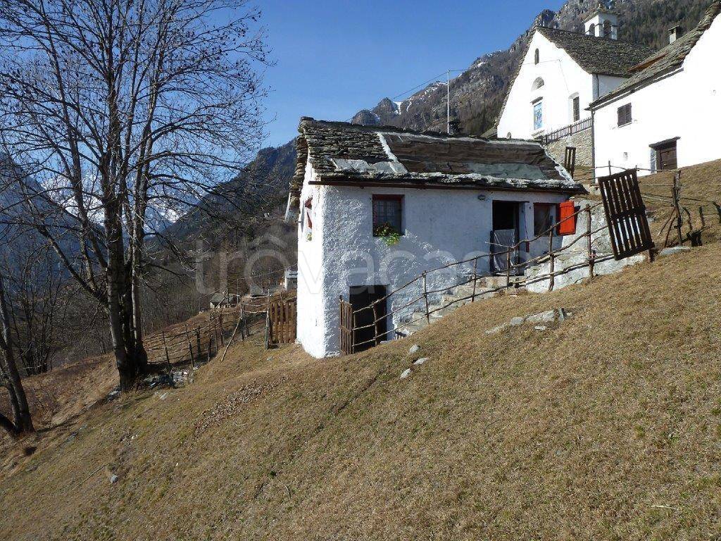 immagine annuncio 6 di 14