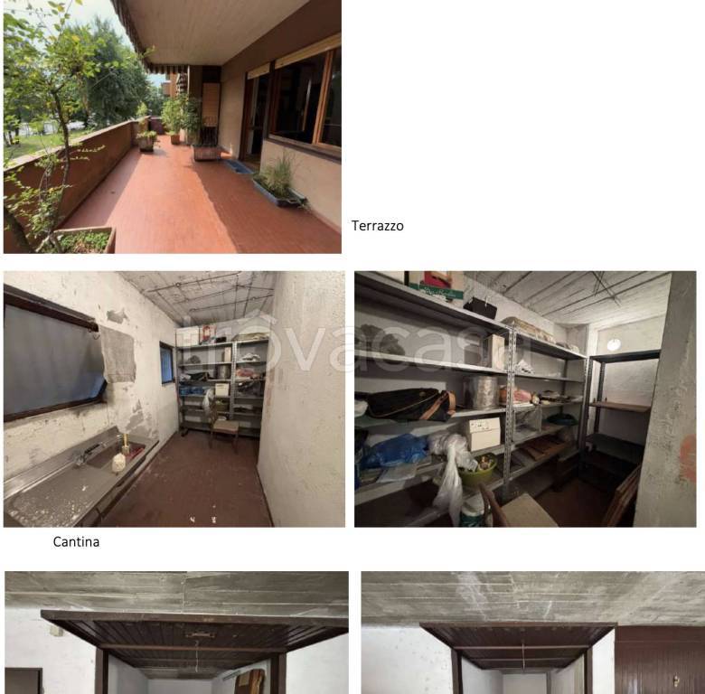 immagine annuncio 1 di 12