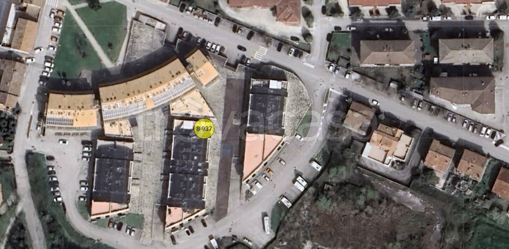 immagine annuncio 12 di 13