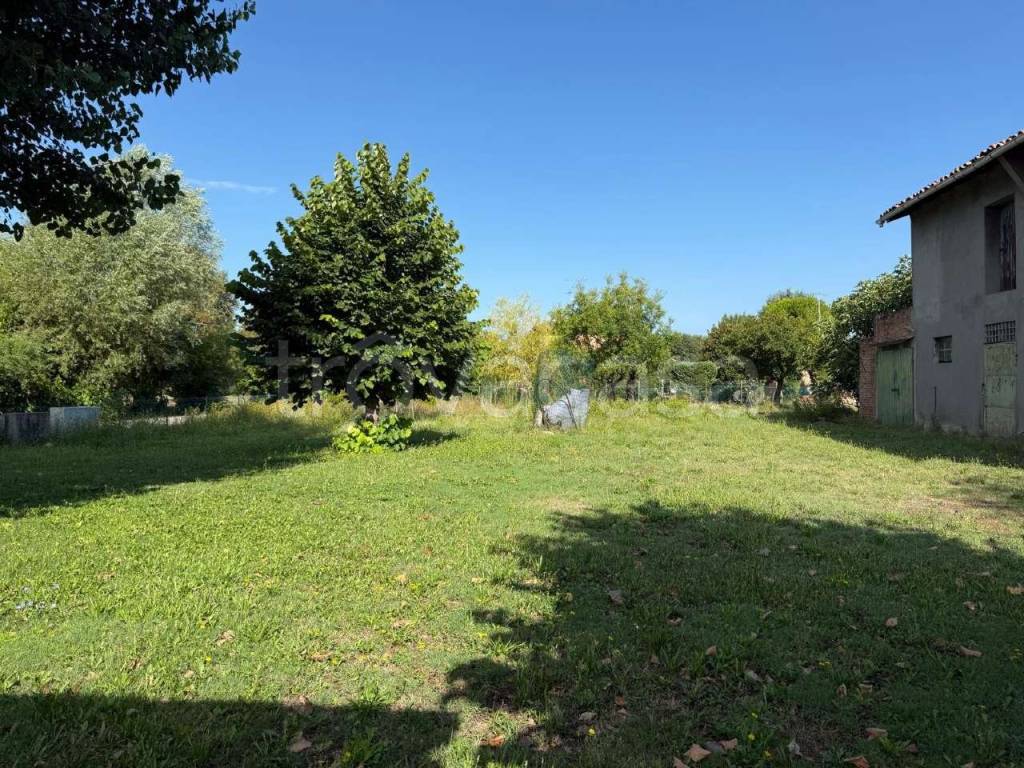 immagine annuncio 3 di 4