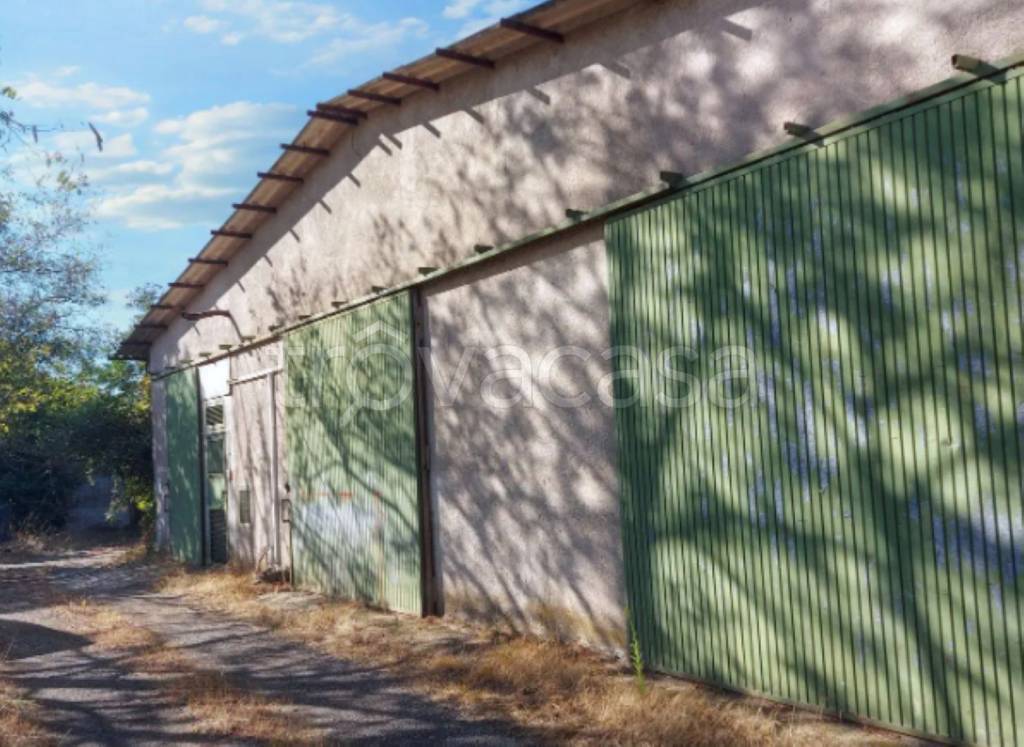 immagine annuncio 3 di 12