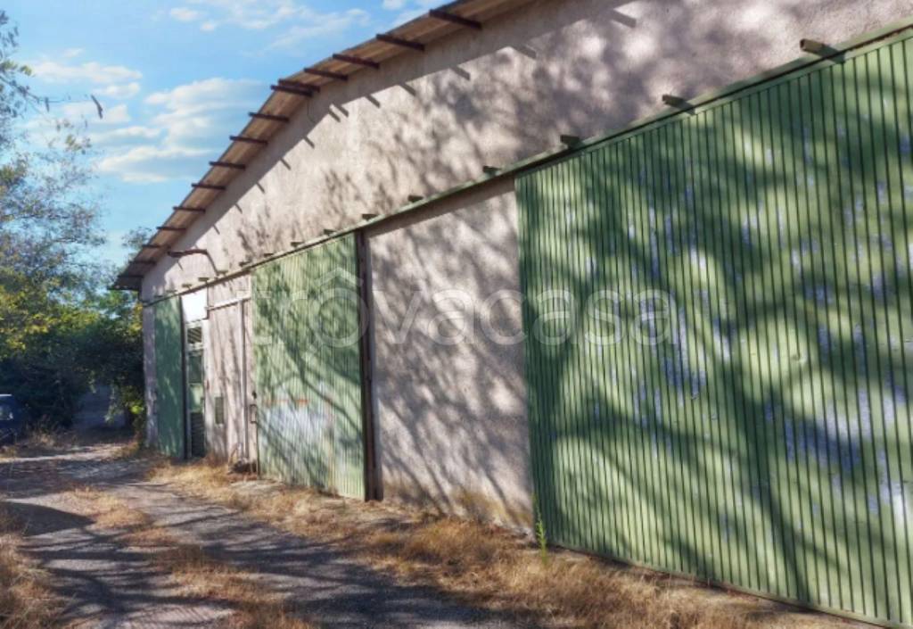 immagine annuncio 9 di 12