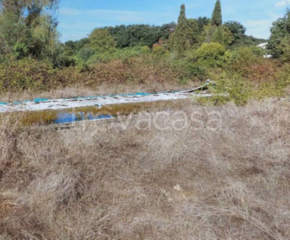 immagine annuncio 10 di 12