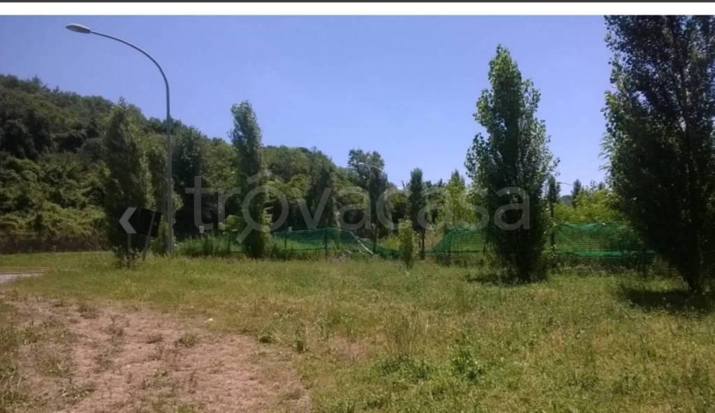 immagine annuncio 4 di 13