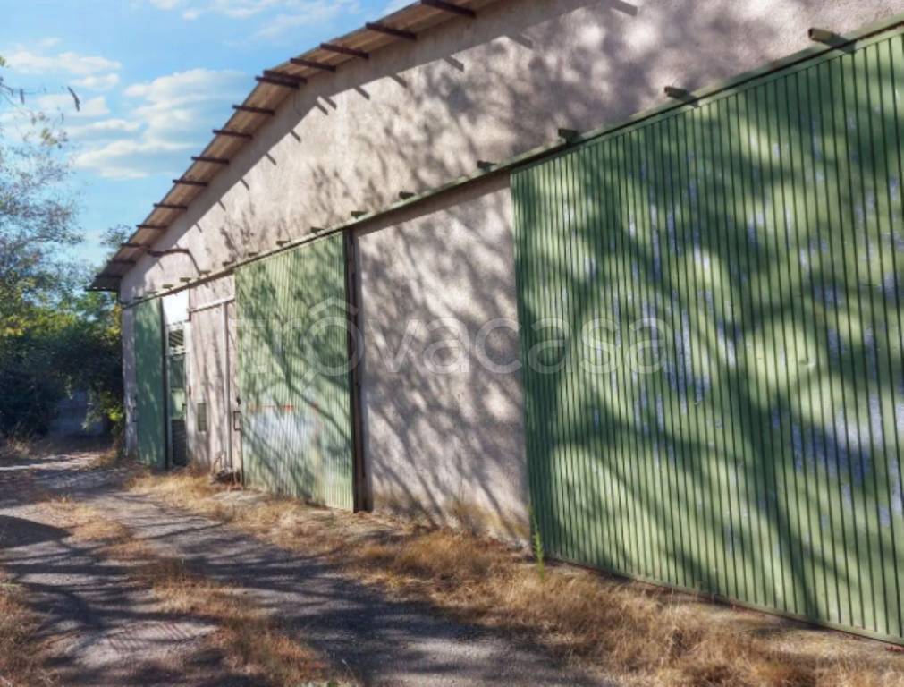 immagine annuncio 2 di 11