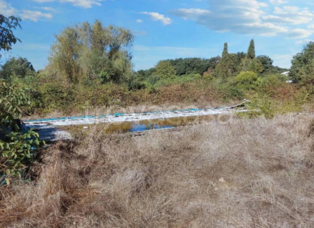 immagine annuncio 3 di 11