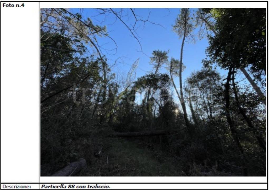 immagine annuncio 4 di 12