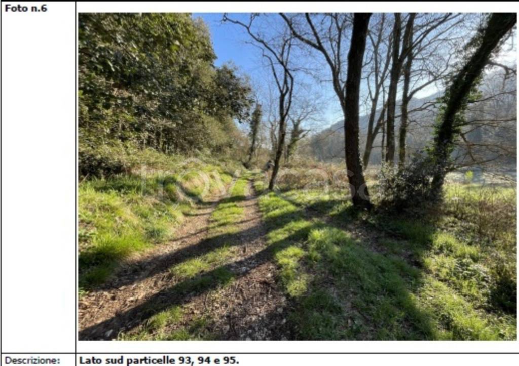 immagine annuncio 6 di 12