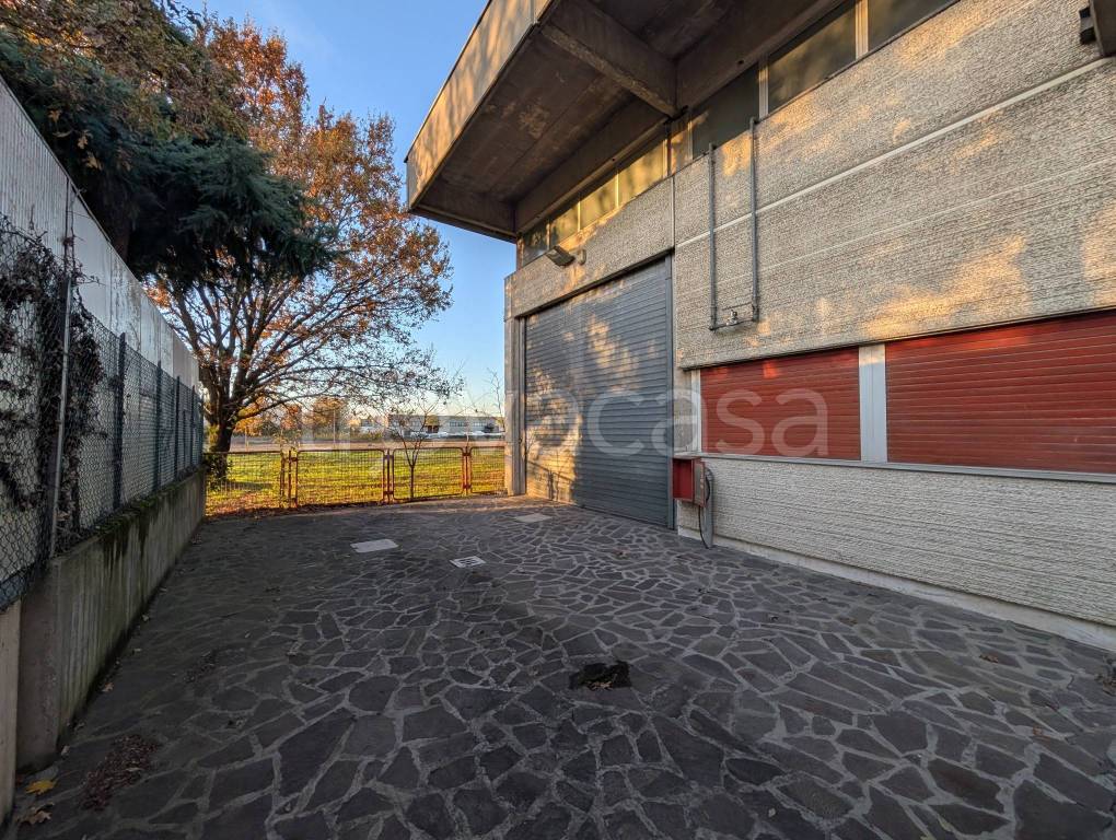 immagine annuncio 3 di 15