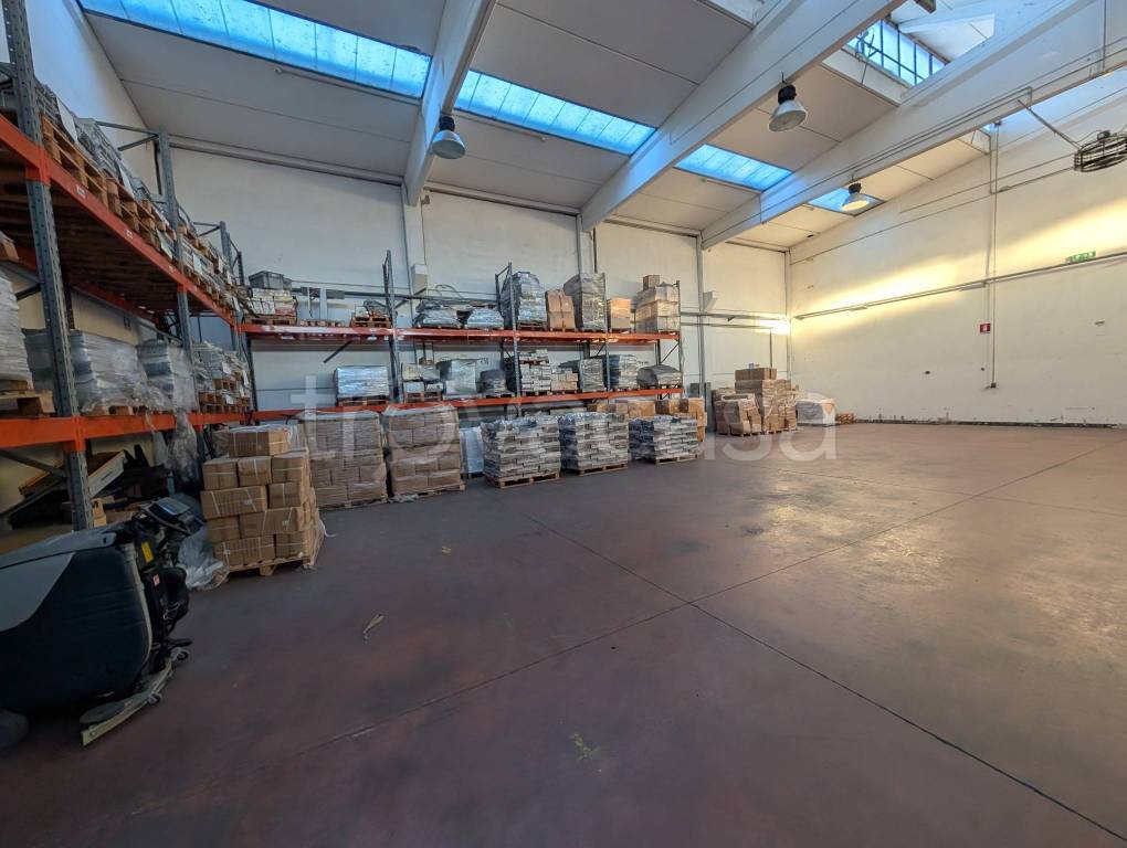 immagine annuncio 9 di 15