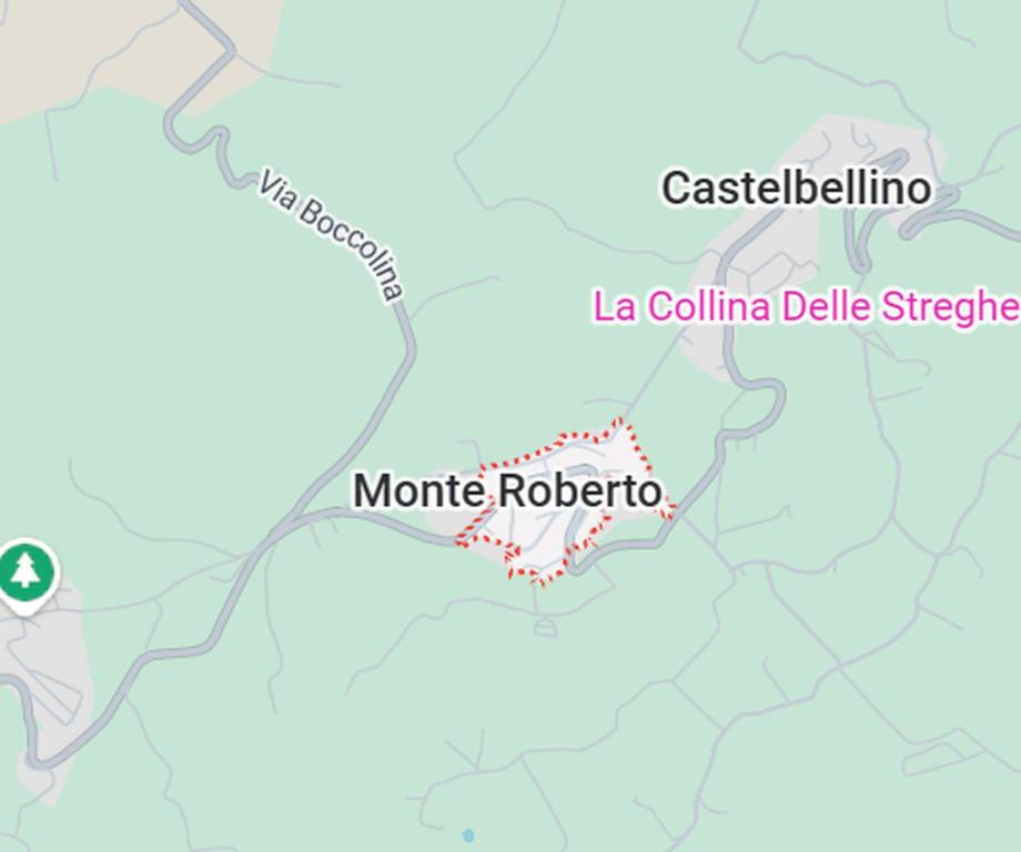 immagine annuncio 2 di 11