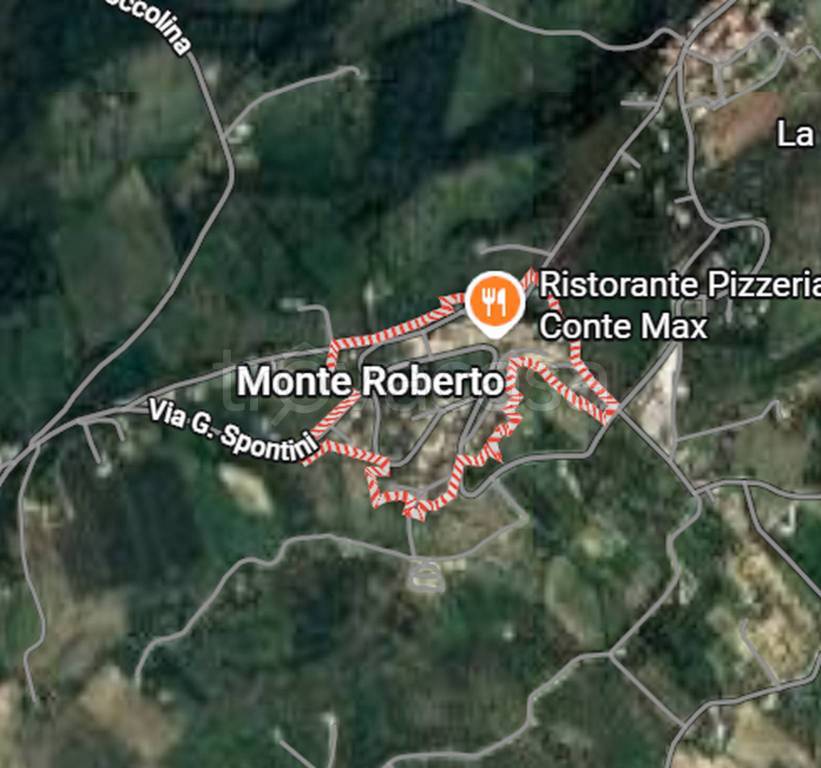 immagine annuncio 3 di 11