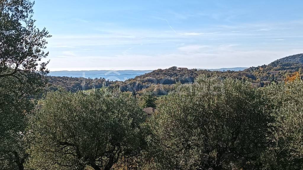 immagine annuncio 5 di 9