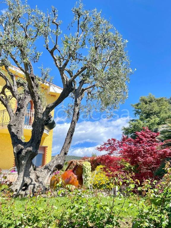 immagine annuncio 10 di 14