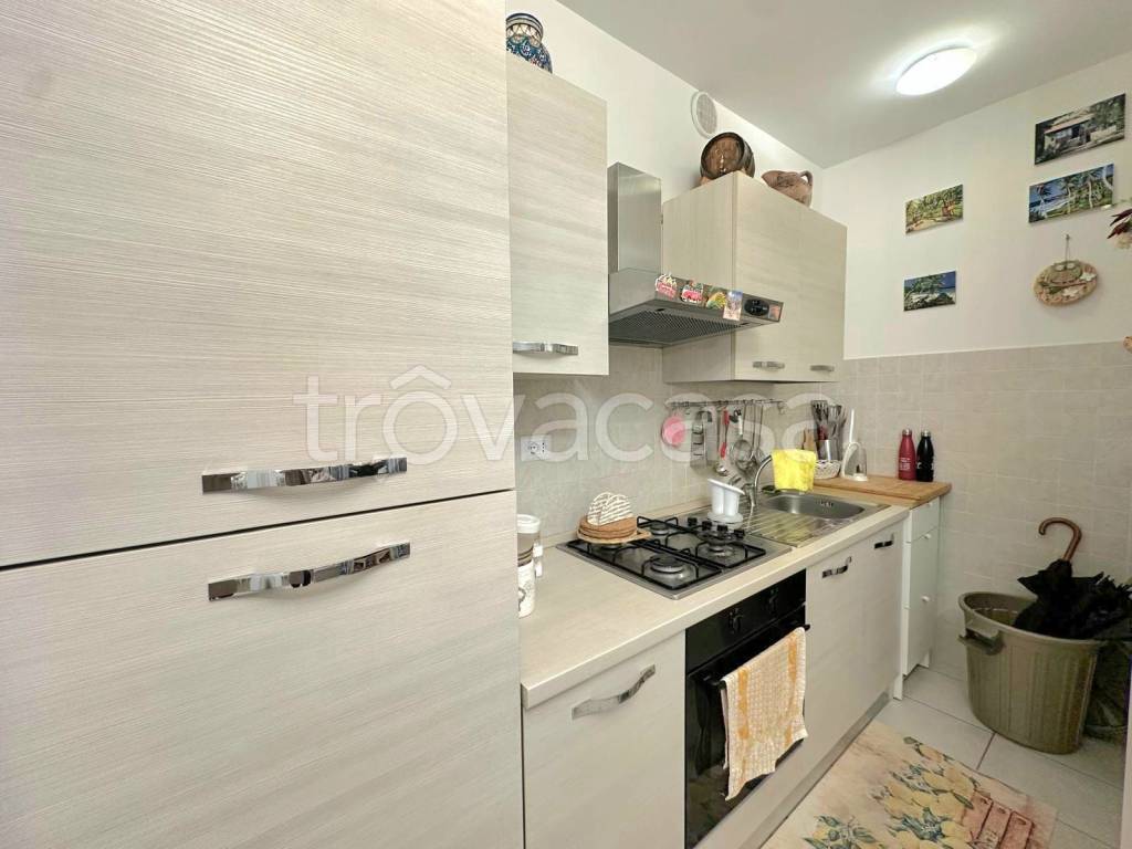 immagine annuncio 6 di 14